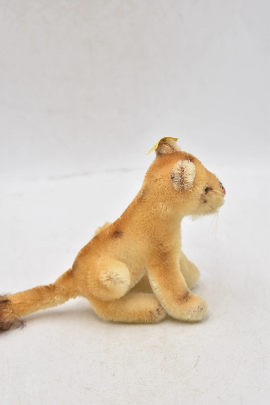 Vintage Steiff Lion Lioness 1950s 1960s Mohair Ear Button Tag 11cm