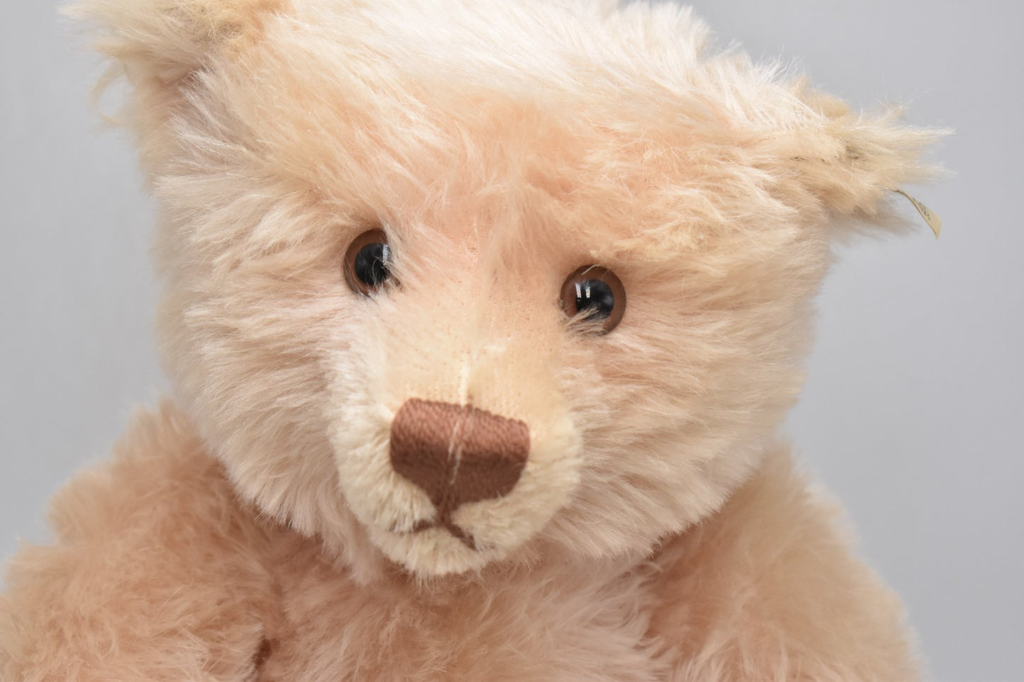 Steiff Teddy Rosé 1927 Replica – 407192 – Limited Edition Growler