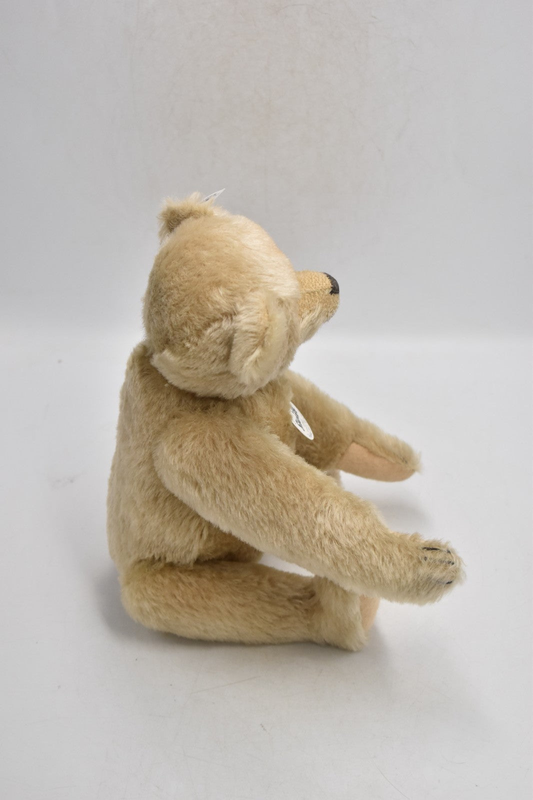 Steiff Teddy Bear Replica 1911 421174 from 2011 Ltd Edition with DVD