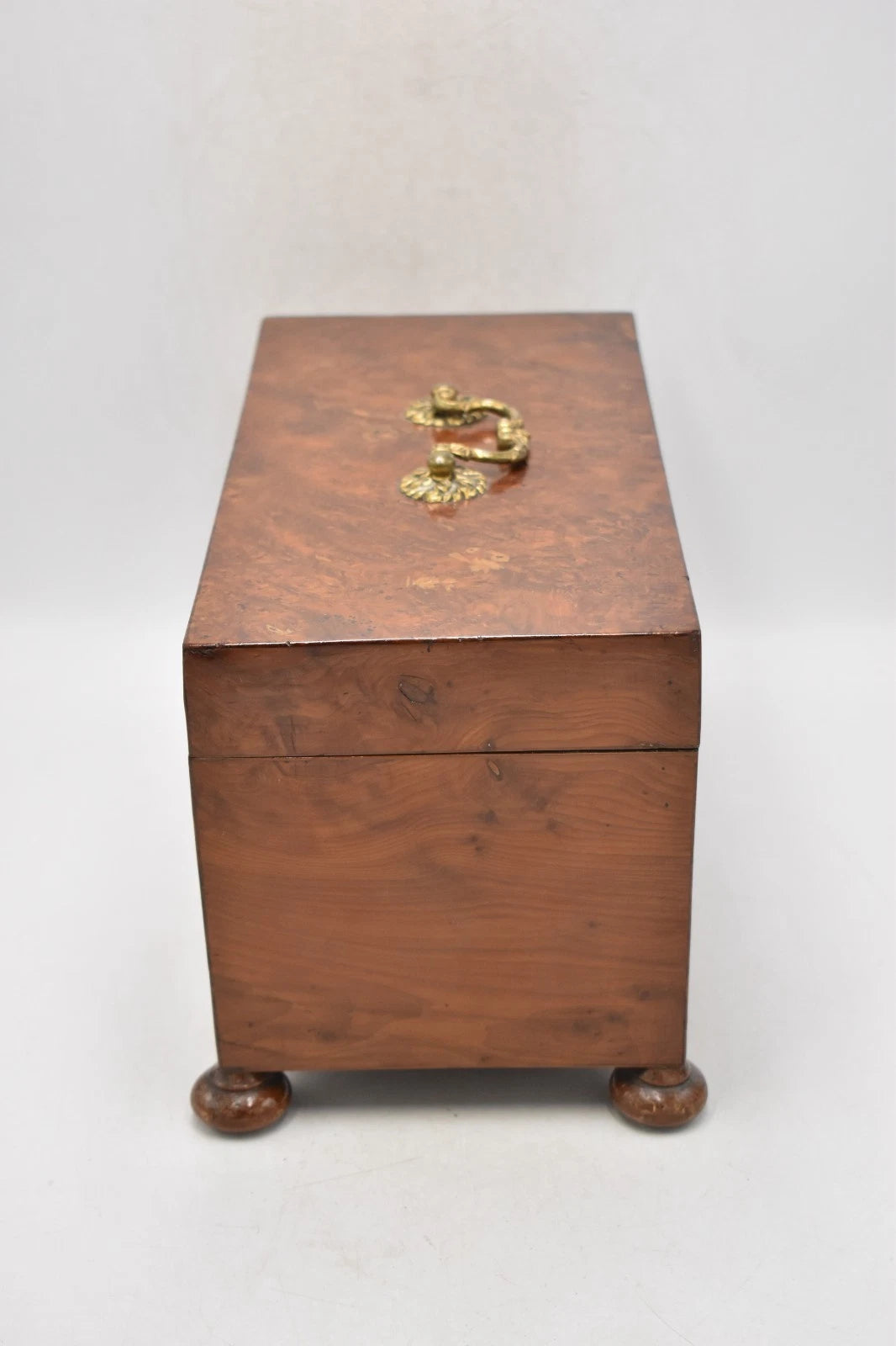 Antique Georgian Burr Walnut Tea Caddy with Silver Scallop Spoon