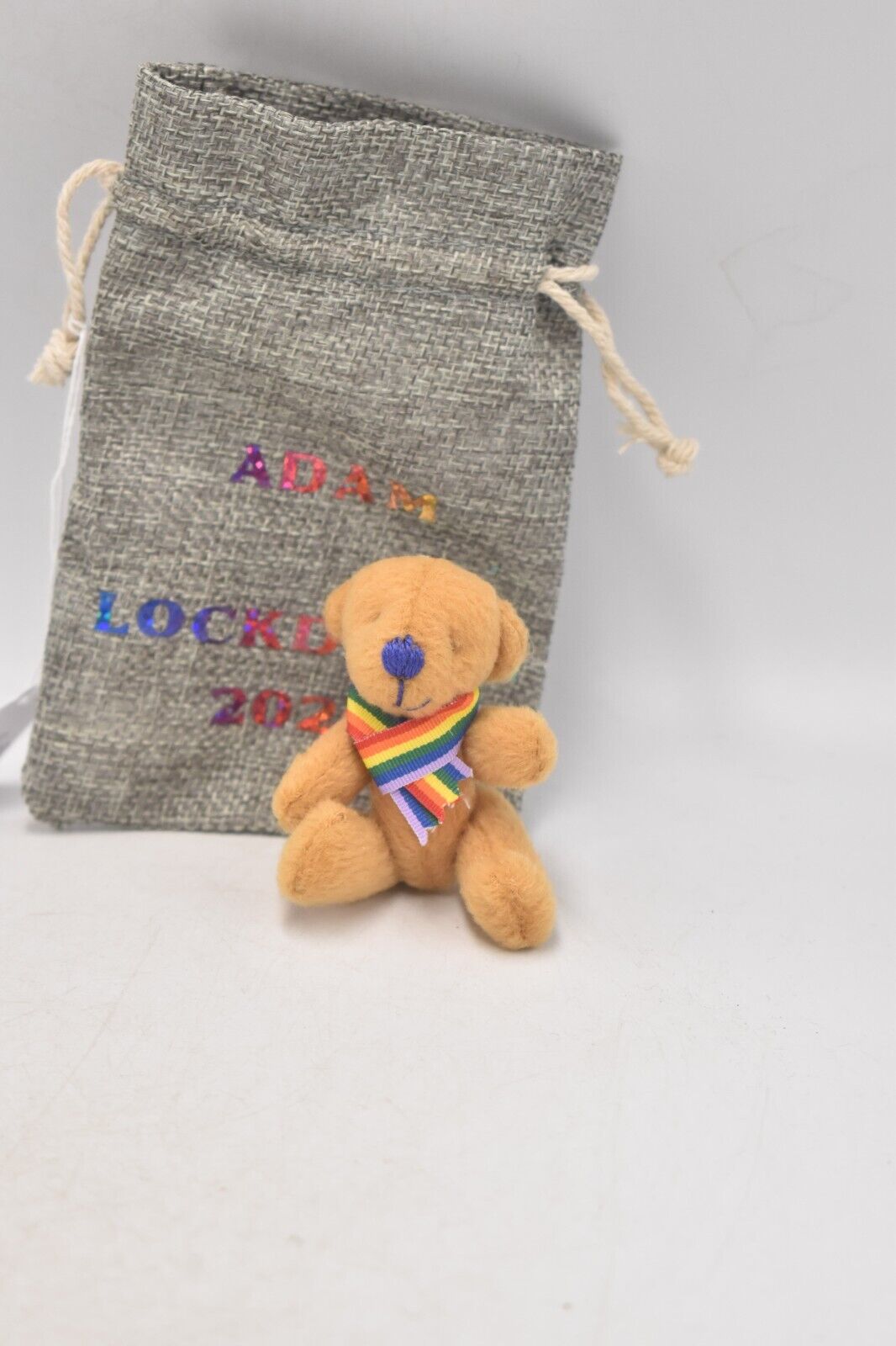 Bearspoke Bears Artist Teddy Bear – Adam Lockdown Teddy Bear