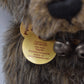 Charlie Bears Haydn Teddy Bear Retired Tagged Isabelle Lee Designed