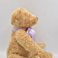 Steiff British Collectors Teddy Bear 2018 Limited Edition 690402