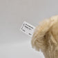 Steiff Teddy Bear Replica 1911 421174 from 2011 Ltd Edition with DVD