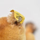 Vintage Steiff Lion Lioness 1950s 1960s Mohair Ear Button Tag 11cm