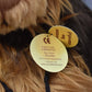 Charlie Bears Noodle Teddy Bear Retired Tagged Isabelle Lee Designed