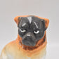 Antique C.1890 Bavarian Monkey Face Pug Figurine by Schmidt & Co Austria