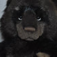 Charlie Bears Big Ron & Little Ron Teddy Bears Limited Edition Retired Tagged