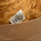 Merrythought Lost Property Mohair Teddy Bear Limited Edition