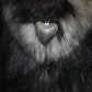 Charlie Bears Big Ron & Little Ron Teddy Bears Limited Edition Retired Tagged