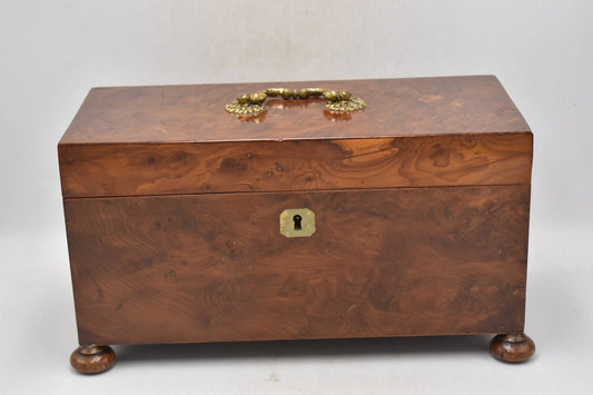 Antique Georgian Burr Walnut Tea Caddy with Silver Scallop Spoon