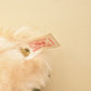 Steiff Teddy Bear Teddy Bear Blonde 42 1994 Limited edition 650901 Vedes Retired