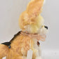 Charlie Bears Jinx Fennec Fox Isabelle Collection Retired Limited Edition Tagged