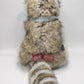 Charlie Bears London The Raccoon Teddy Bear Retired Tagged Isabelle Lee