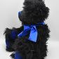 Martin Teddy Bears Max Mohair Limited Edition Tagged & Retired