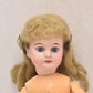 Antique Armand Marseille 1894 AM Bisque Head Doll With Teeth 35cm Vintage