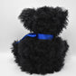 Martin Teddy Bears Max Mohair Limited Edition Tagged & Retired