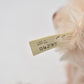 Steiff Teddy Rose Replica 1925 Squeaker 407154 Limited Edition