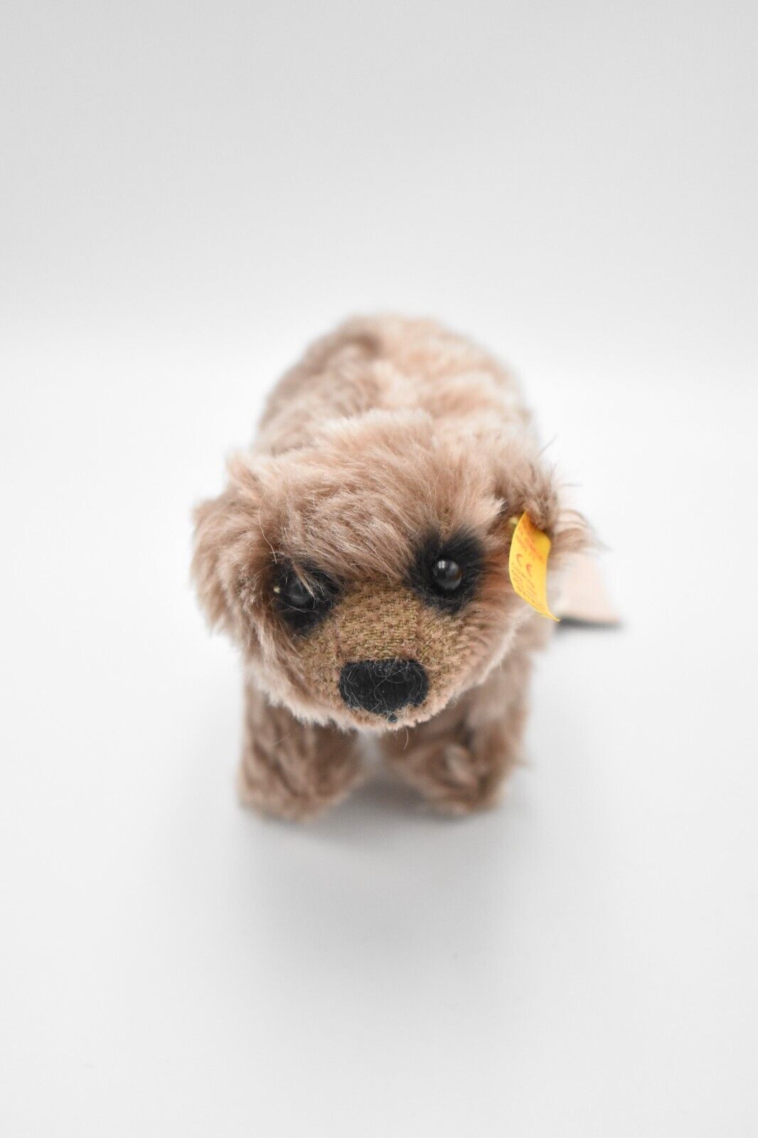 Steiff Grizzly Mohair Teddy Bear 031229 Retired Collectible Tagged