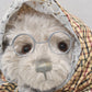 Charlie Bears Grandma Teddy Bear Isabelle Lee Designed Tagged
