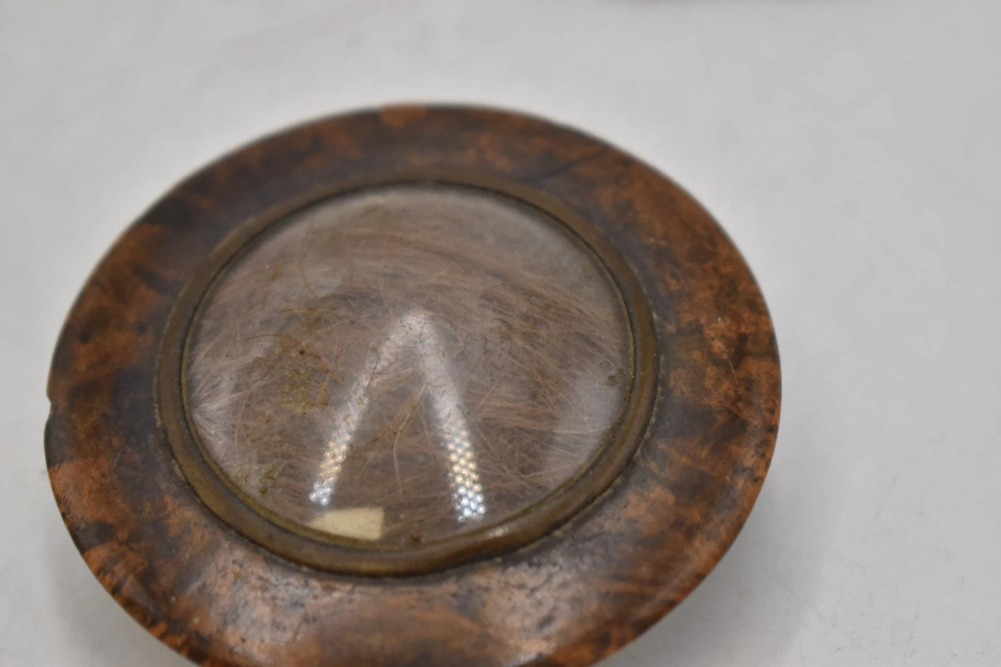 Antique 1861 Burr Walnut Mourning Box Love Lock of Hair & Note 6cm