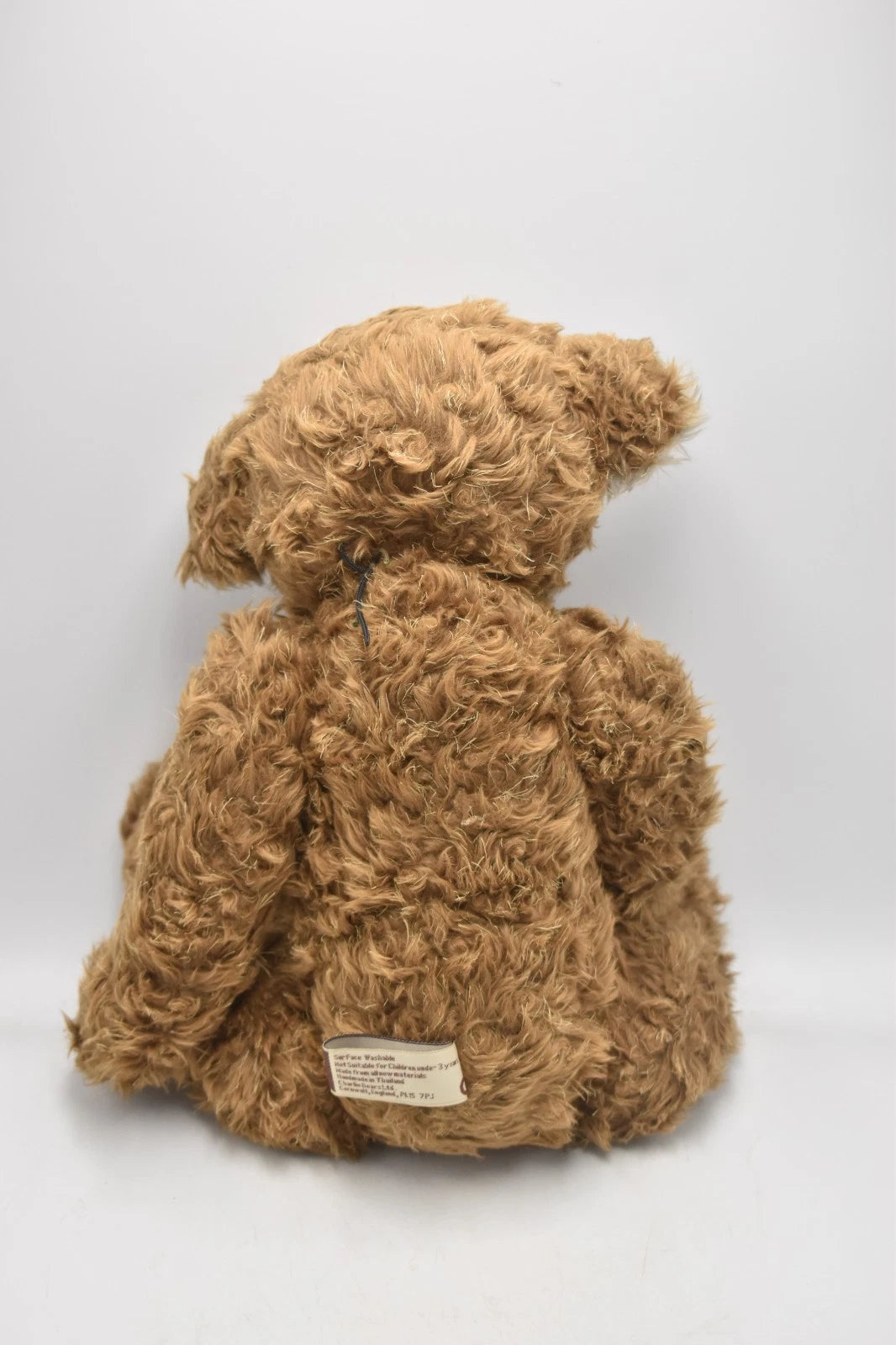 Charlie Bears Parkin Teddy Bear Retired Tagged Isabelle Lee Designed