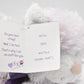 Boyds Bears Taffy Cat – Retired & Tagged Plush Soft Toy