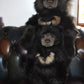 Charlie Bears Big Ron & Little Ron Teddy Bears Limited Edition Retired Tagged