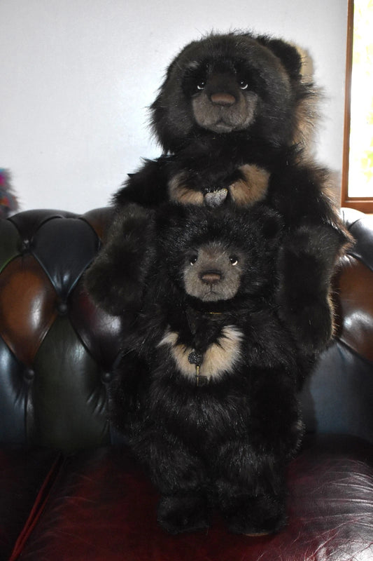 Charlie Bears Big Ron & Little Ron Teddy Bears Limited Edition Retired Tagged