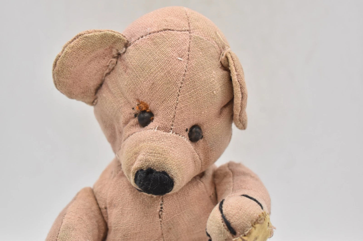 Vintage 1930s Chad Valley Peacock Teddy Bear 22cm Collectible