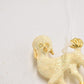 Vintage Poodle Dog Cream & Gold Tone Brooch – Women's Jewellery