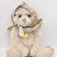 Charlie Bears Grandma Teddy Bear Isabelle Lee Designed Tagged