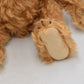 Steiff PB 28 1904 Replica Teddy Bear 404115 – Limited Edition 4589/7000