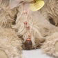 Charlie Bears Cobweb Rabbit Teddy Bear Retired Tagged Isabelle Lee Designed