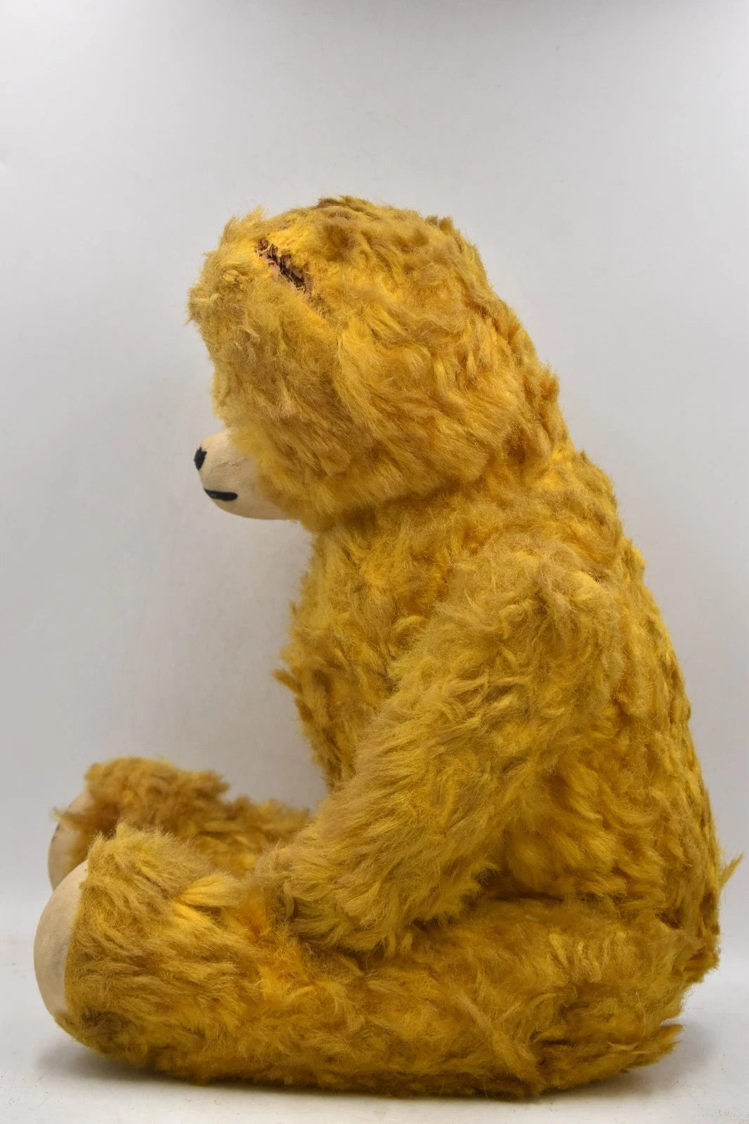 Vintage 1950s German Golden Teddy Bear Wood Wool Filled Fully Jointed 58cm