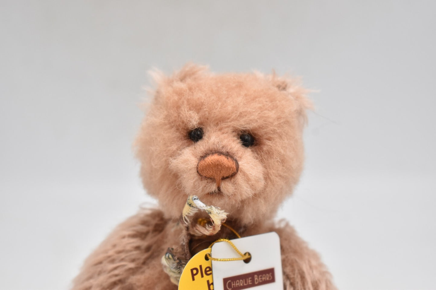 Charlie Bears Diddy Minimo – Limited Edition – Retired Tagged
