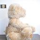 Deans Rag Book Co Dougie Teddy Bear – Limited Edition