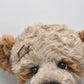 Charlie Bears Padmin Teddy Bear Retired Tagged Isabelle Lee Designed