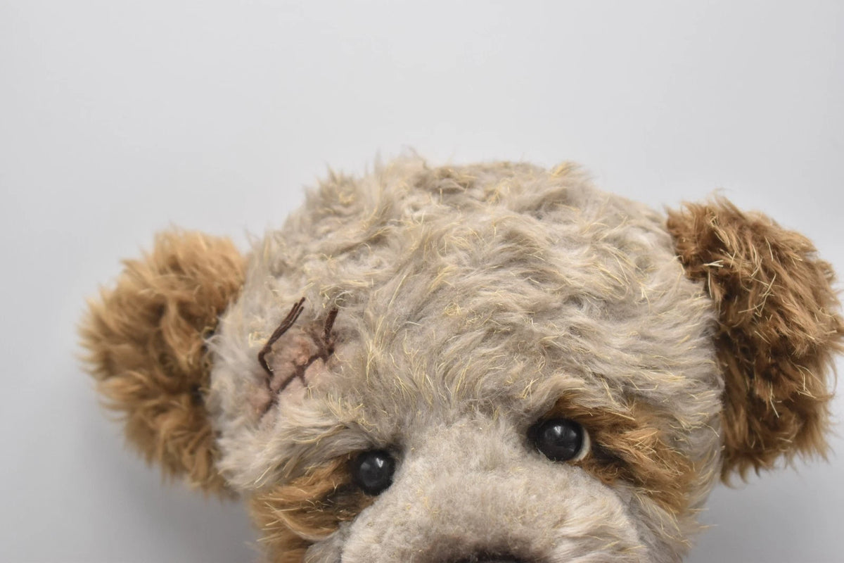 Charlie Bears Padmin Teddy Bear Retired Tagged Isabelle Lee Designed