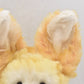Charlie Bears Jinx Fennec Fox Isabelle Collection Retired Limited Edition Tagged