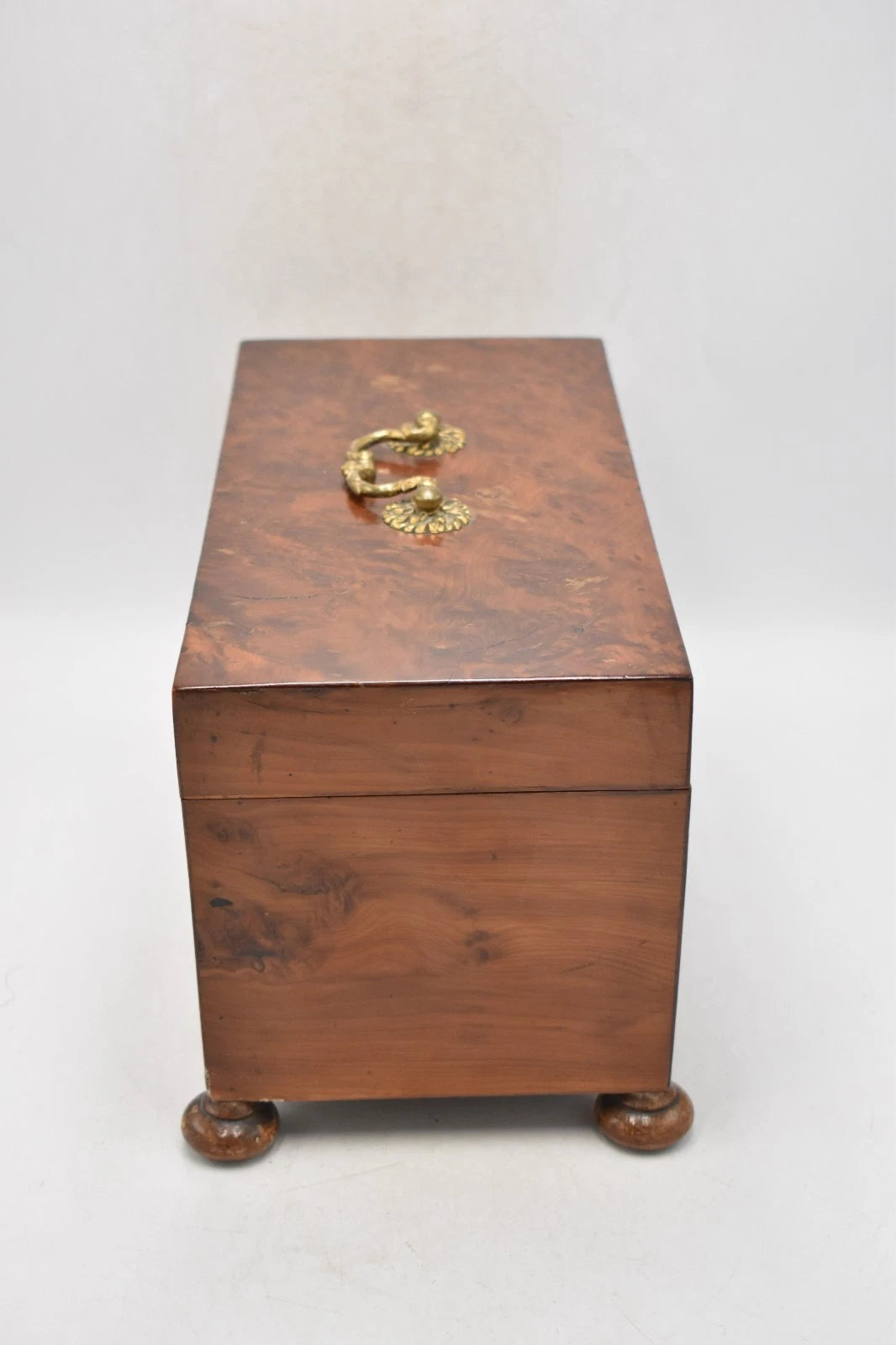 Antique Georgian Burr Walnut Tea Caddy with Silver Scallop Spoon