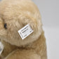 Steiff Teddy Bear Replica 1911 421174 from 2011 Ltd Edition with DVD