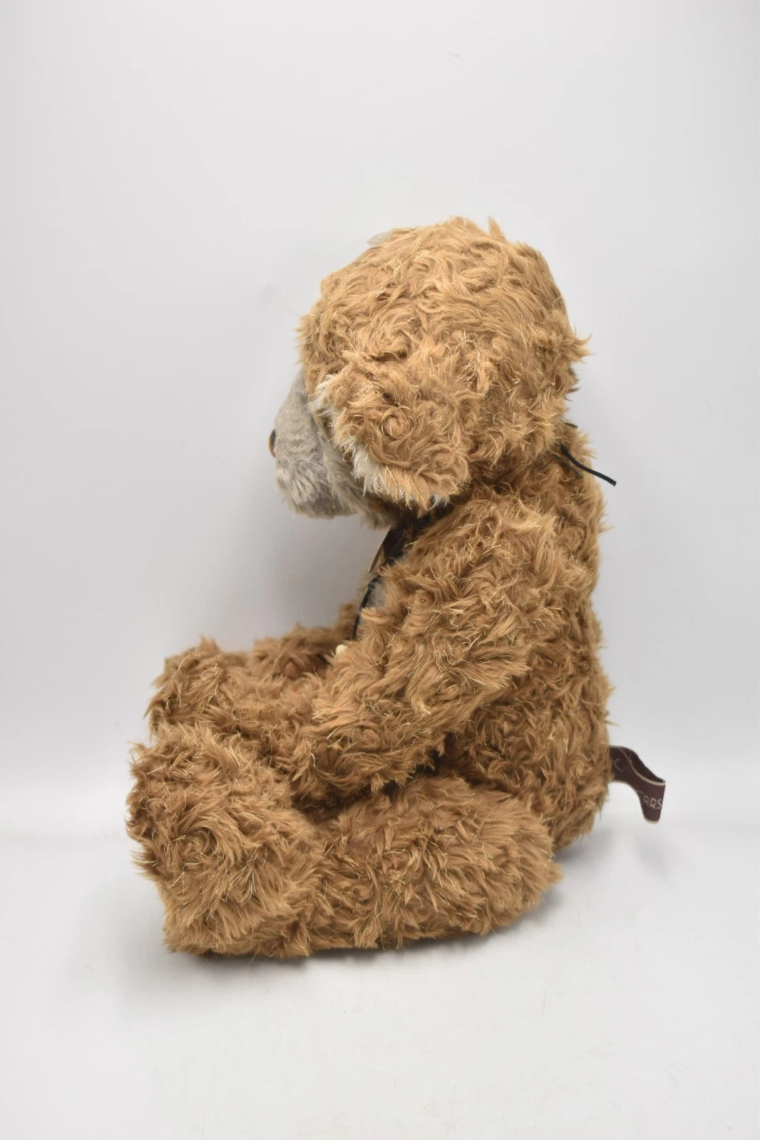 Charlie Bears Parkin Teddy Bear Retired Tagged Isabelle Lee Designed