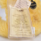 Deans Rag Book Co Shadwell Teddy Bear – Retired & Tagged Limited Edition