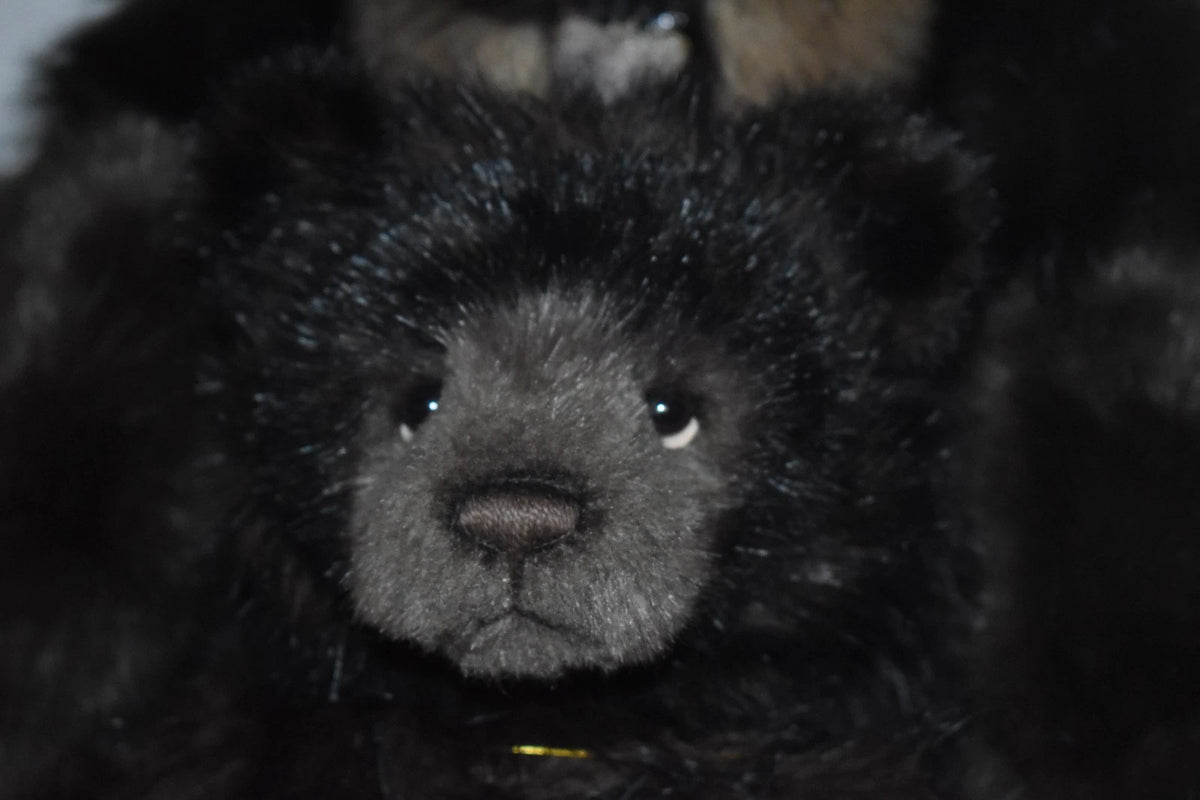 Charlie Bears Big Ron & Little Ron Teddy Bears Limited Edition Retired Tagged