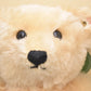 Steiff Teddy Bear Teddy Bear Blonde 42 1994 Limited edition 650901 Vedes Retired