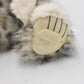 Charlie Bears Toboggan Teddy Bear Retired Tagged Fully Jointed 24cm Collectable
